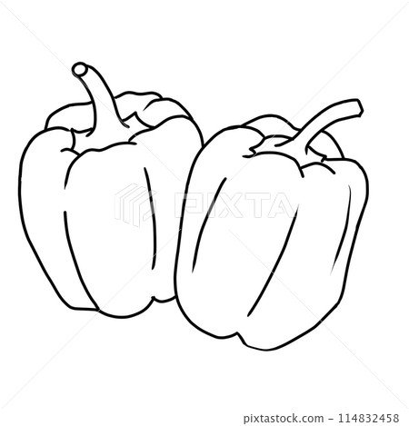 Summer vegetables: A simple line drawing and coloring of two peppers lined up 114832458