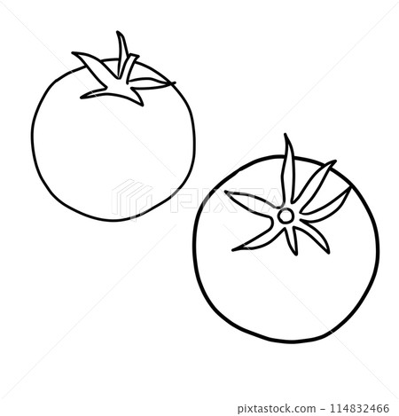 Summer vegetables: Simple line drawings and coloring of tomatoes and cherry tomatoes Summer vegetables: Simple line drawings and coloring of tomatoes and cherry tomatoes 114832466
