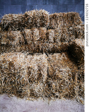 old plant straw background old plant straw background 114832716