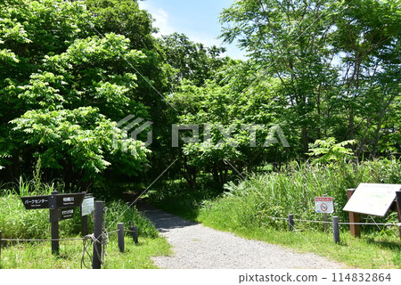 海老名市 神奈川縣相模三河公園 自然觀察園入口 114832864