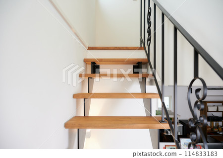 Stairs Skeleton Steps Stairs Skeleton Steps 114833183
