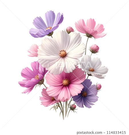 3d bouquet of cosmos 114833415