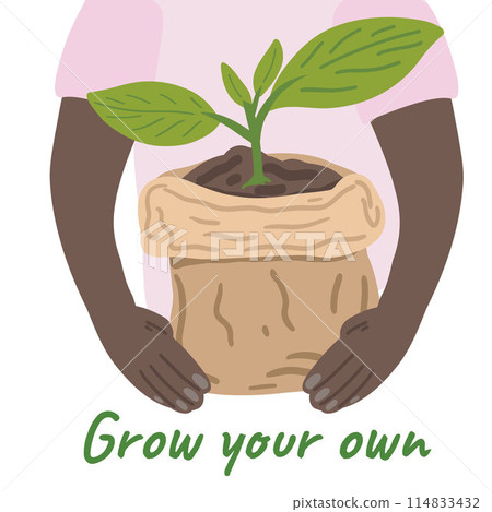 Grow your own flat design plant in a bag in black man arms Grow your own flat design plant in a bag in black man arms 114833432