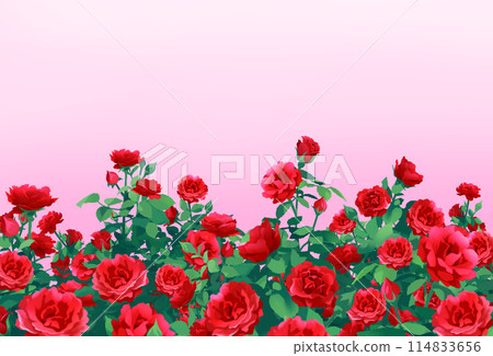 Red roses and pink background frame 114833656