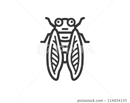Illustration of a cicada icon (line drawing) 114834135