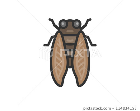 Illustration of cicada icon (line drawing color) 114834155