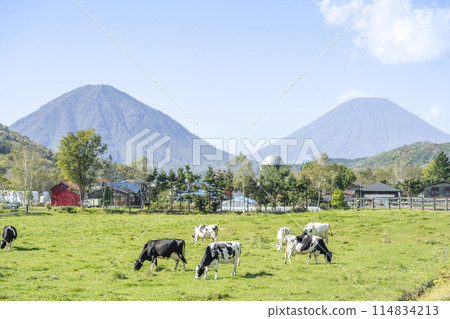 Autumn pastures and blue skies. Mt. Shiribetsu (left) and Mt. Yotei (right). Kimobetsu Town. Autumn pastures and blue skies. Mt. Shiribetsu (left) and Mt. Yotei (right). Kimobetsu Town. 114834213