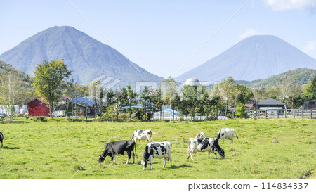 Autumn ranch and blue sky 16:9 Mount Shiribetsu (left) and Mount Yotei (right) Kimobetsu Town 114834337