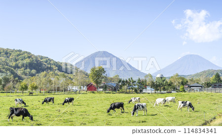 Autumn pastures and blue skies 16:9 Mount Shiribetsu (left) and Mount Yotei (right) Kimobetsu Town Autumn pastures and blue skies 16:9 Mount Shiribetsu (left) and Mount Yotei (right) Kimobetsu Town 114834341