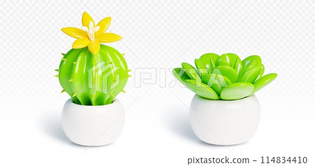 3d cartoon cactus and succulent in white flowerpot 114834410