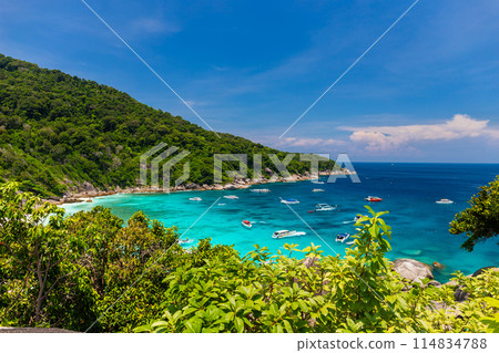 Similan Island view point with speed boat Many boats are waiting to transport tourists in the high season, Phang Nga Province, Thailand. 114834788