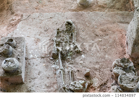 Human and dog skeletons with Dvaravati period items discovered in Si Thep Historical Park, Phetchabun Province, Thailand. Human and dog skeletons with Dvaravati period items discovered in Si Thep Historical Park, Phetchabun Province, Thailand. 114834897