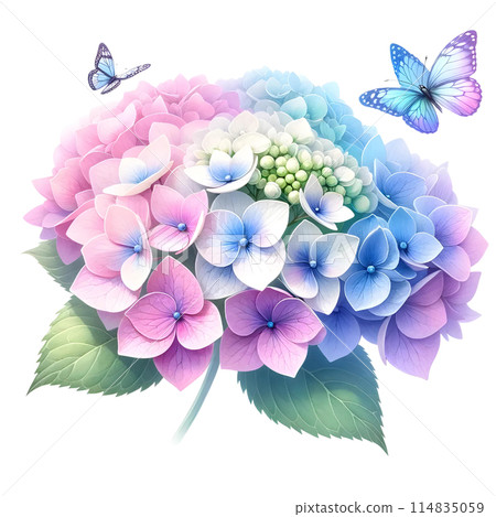 3d hydrangea flowers isolated on white background 114835059