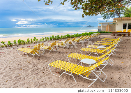 Plenty of beach chairs on the sand under the trees during the day. with beautiful sky in summer 114835090