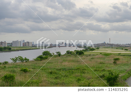Arakawa River bank on a cloudy day Arakawa River bank on a cloudy day 114835291