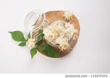 Tincture of horse chestnut flowers in a jar. Homemade herbal tincture. Hair treatment concept. Flat lay Tincture of horse chestnut flowers in a jar. Homemade herbal tincture. Hair treatment concept. Flat lay 114835429