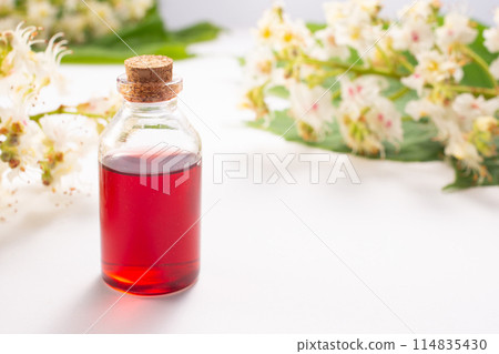 Tincture of horse chestnut flowers in a jar. Homemade herbal tincture. Hair treatment concept. Flat lay 114835430