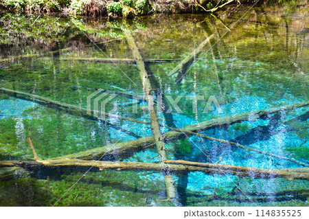 北海道上帝的池塘 114835525