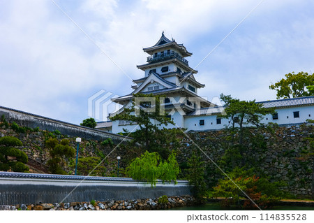 Imabari Castle landscape photo Ehime Prefecture tourist spot 114835528