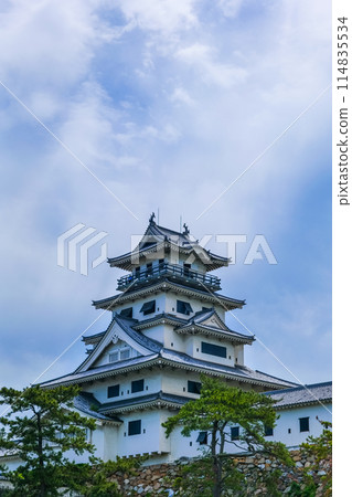 Imabari Castle landscape photo Ehime Prefecture tourist spot 114835534