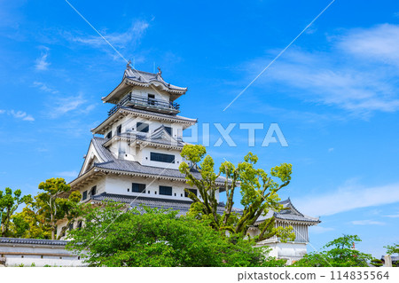 愛媛郡旅遊勝地今治城風景照片 114835564