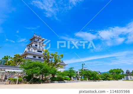 愛媛郡旅遊勝地今治城風景照片 114835566