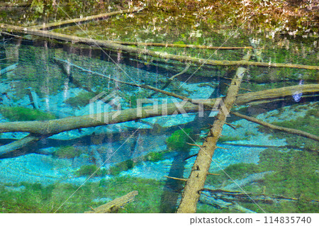 北海道上帝的池塘 北海道上帝的池塘 114835740