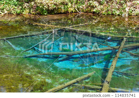 北海道上帝的池塘 114835741