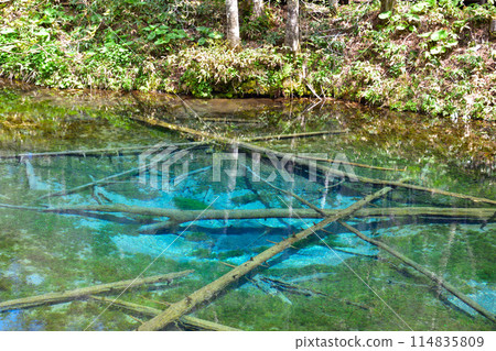 北海道上帝的池塘 114835809