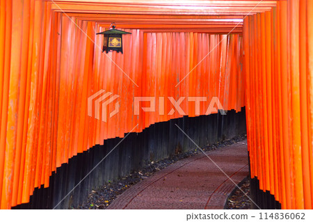Fushimi-Inari Taisha Shrine Torii Torii 114836062