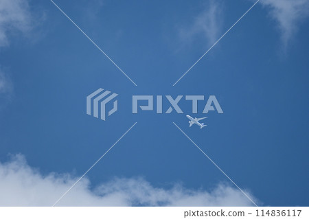 ANA Boeing 787 Dreamliner ANA Boeing 787 Dreamliner 114836117