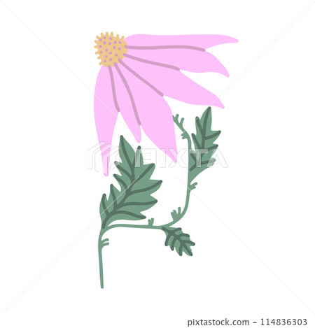 Colorful floral doodle illustration in a trendy style 114836303