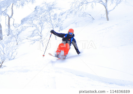 野外滑雪 野外滑雪 114836889
