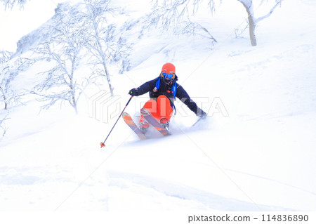 野外滑雪 野外滑雪 114836890