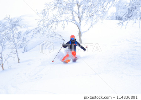 野外滑雪 野外滑雪 114836891
