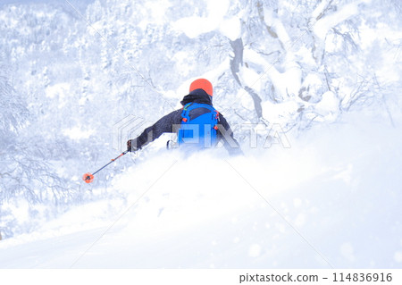 野外滑雪 114836916