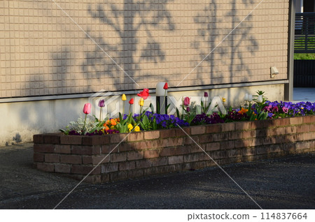 Country Landscape Hachioji City Country Landscape Hachioji City 114837664