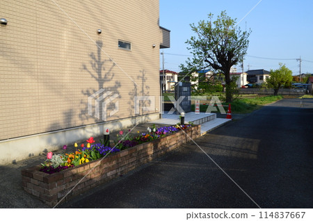 Country Landscape Hachioji City Country Landscape Hachioji City 114837667
