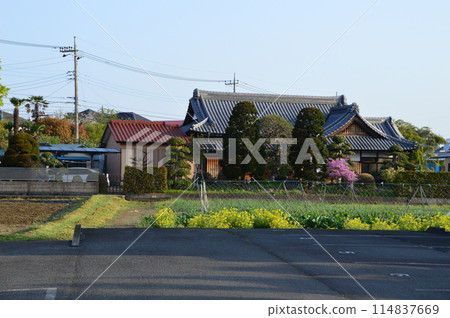 Country Landscape Hachioji City Country Landscape Hachioji City 114837669