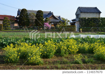 Country Landscape Hachioji City Country Landscape Hachioji City 114837670