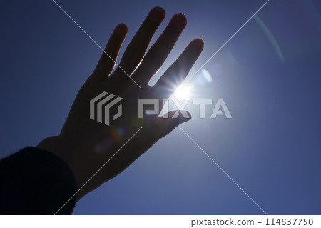 握住你的手迎著陽光 114837750