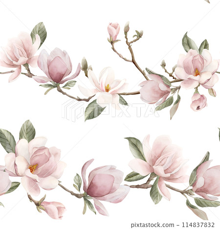 Light pink magnolia branch with buds and leaves. Watercolor floral seamless pattern on white background. Spring blossom for flower fabric, cosmetic packaging, wrapping paper and home textile Light pink magnolia branch with buds and leaves. Watercolor floral seamless pattern on white background. Spring blossom for flower fabric, cosmetic packaging, wrapping paper and home textile 114837832