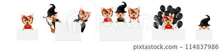Dracula, devil and witch as cute pet dog. Halloween and Dead day 114837986