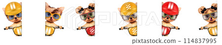 Funny racer dog with bicycle. Sport concept 114837995