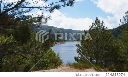 Mountain lake seen through the trees Mountain lake seen through the trees 114838074