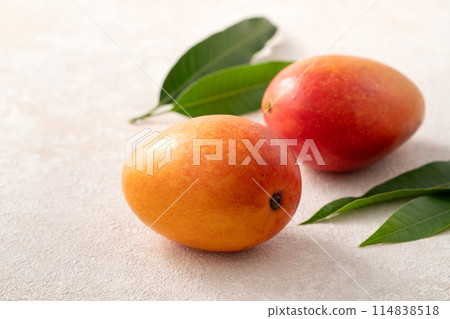 芒果 陽光 水果 台灣 Taiwan fruit mango マンゴー 芒果 陽光 水果 台灣 Taiwan fruit mango マンゴー 114838518