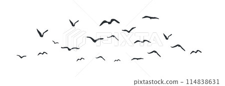Group of flying birds flock silhouettes, a flock of flying birds Group of flying birds flock silhouettes, a flock of flying birds 114838631