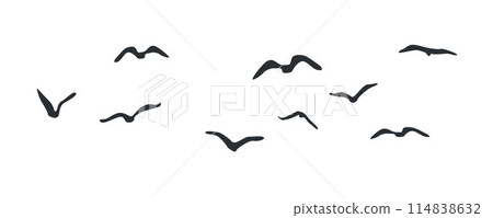Group of flying birds flock silhouettes, a flock of flying birds Group of flying birds flock silhouettes, a flock of flying birds 114838632