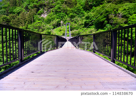 Kinutateiwa Suspension Bridge over the Kinu River in Nikko, Tochigi Prefecture 114838670