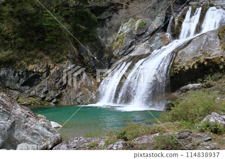 土佐名水瀨戶川流域的阿梅加里瀑布(高知縣土佐町) 土佐名水瀨戶川流域的阿梅加里瀑布(高知縣土佐町) 114838937
